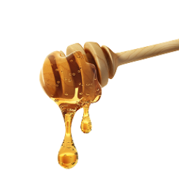 Honey 1 (1)